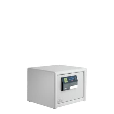 Veiligheidskluis Dual-Safe DS 415 E FP