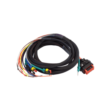 Wakespeed WS500 PRO Kabelset P-type